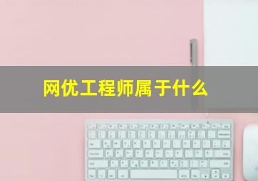 网优工程师属于什么