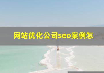 网站优化公司seo案例怎
