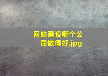 网站建设哪个公司做得好