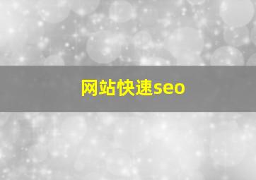 网站快速seo