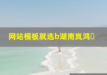 网站模板就选b湖南岚鸿�