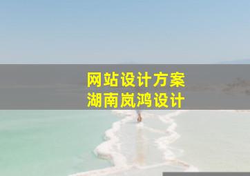 网站设计方案湖南岚鸿设计