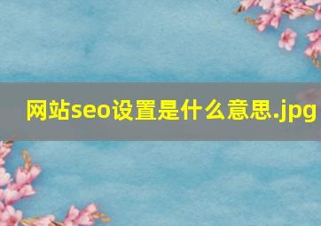 网站seo设置是什么意思