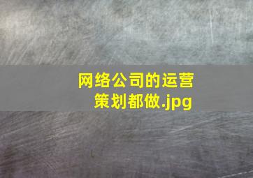 网络公司的运营策划都做