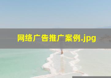 网络广告推广案例
