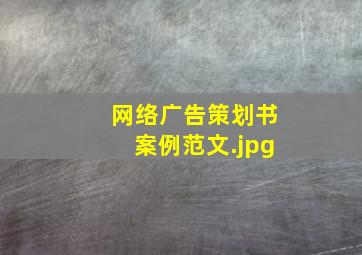 网络广告策划书案例范文