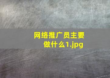 网络推广员主要做什么