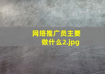 网络推广员主要做什么