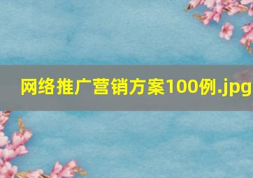 网络推广营销方案100例