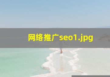网络推广seo