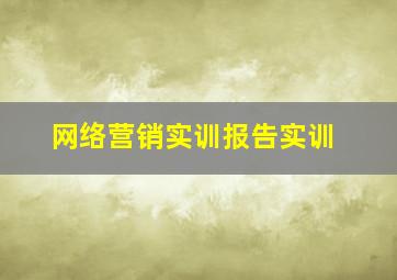 网络营销实训报告实训