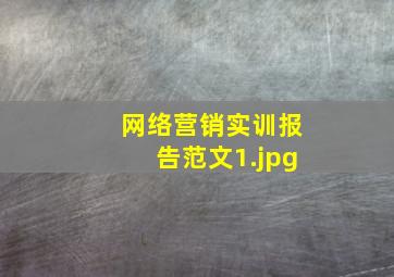 网络营销实训报告范文