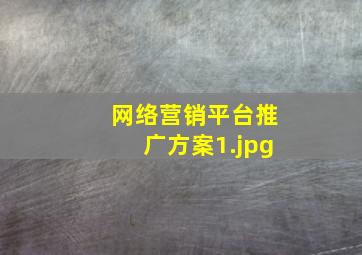 网络营销平台推广方案