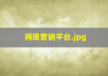 网络营销平台