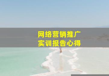 网络营销推广实训报告心得