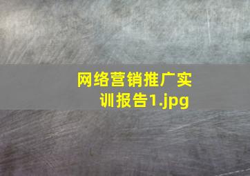 网络营销推广实训报告