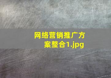 网络营销推广方案整合