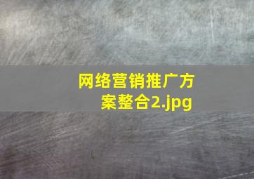 网络营销推广方案整合