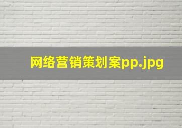 网络营销策划案pp