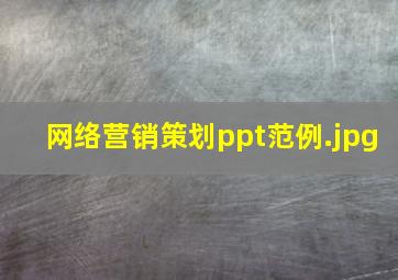 网络营销策划ppt范例