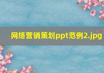网络营销策划ppt范例