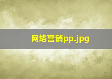 网络营销pp
