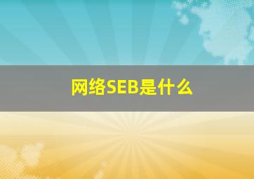 网络SEB是什么