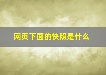 网页下面的快照是什么