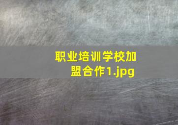 职业培训学校加盟合作