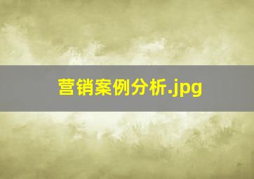 营销案例分析