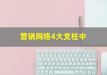 营销网络4大支柱中