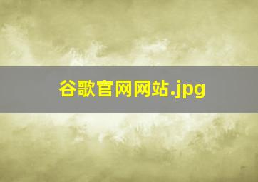 谷歌官网网站