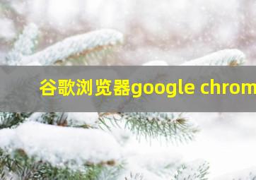 谷歌浏览器google chrome