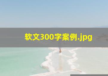 软文300字案例