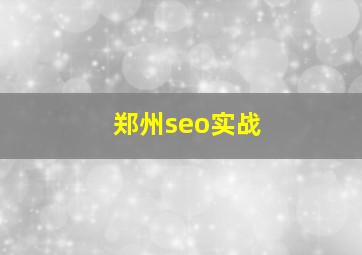 郑州seo实战