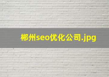 郴州seo优化公司