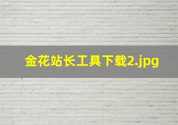 金花站长工具下载