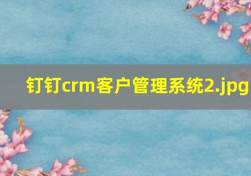 钉钉crm客户管理系统