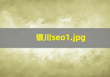 银川seo