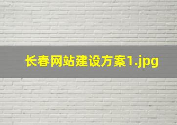 长春网站建设方案