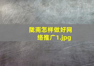 陇南怎样做好网络推广