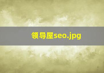 领导屋seo