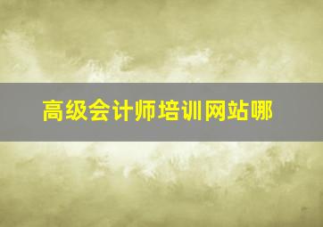 高级会计师培训网站哪