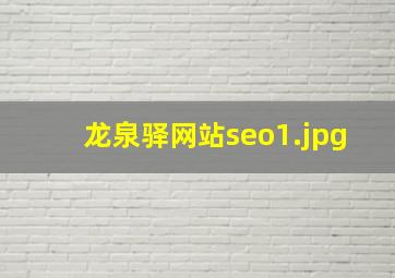龙泉驿网站seo
