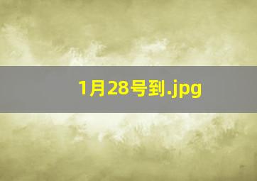 1月28号到