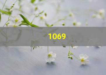 1069