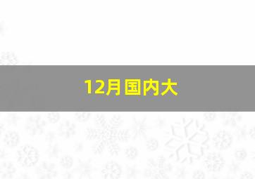 12月国内大
