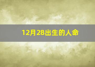 12月28出生的人命