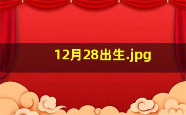 12月28出生