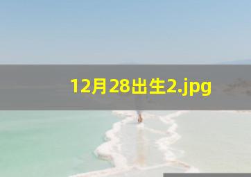 12月28出生